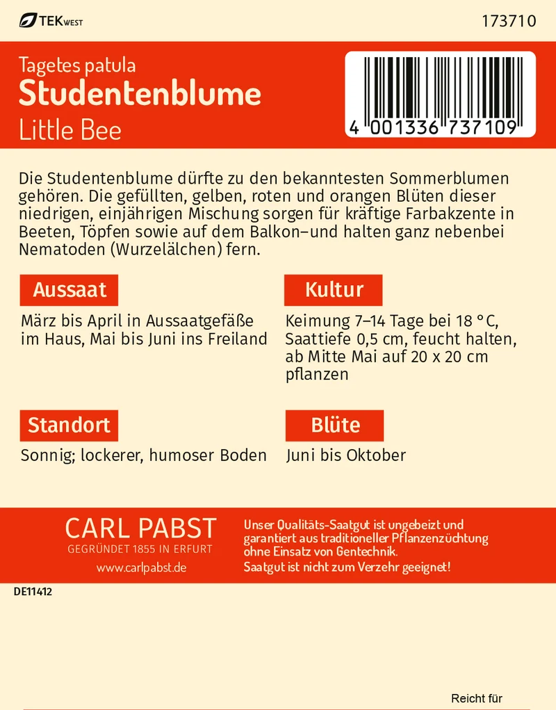 Studentenblume Little Bee Saatgut
