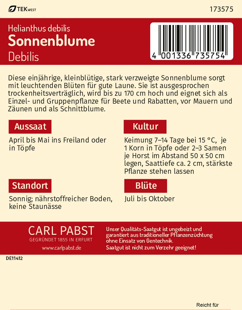 Sonnenblume Debilis Saatgut