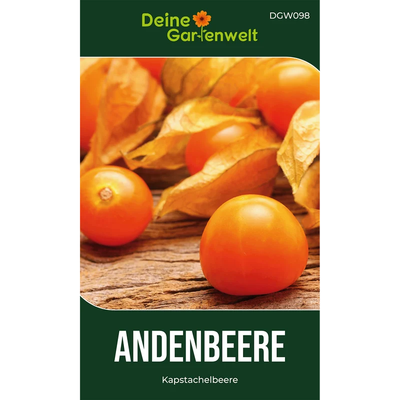 Physalis Andenbeere Kapstachelbeere Saatgut