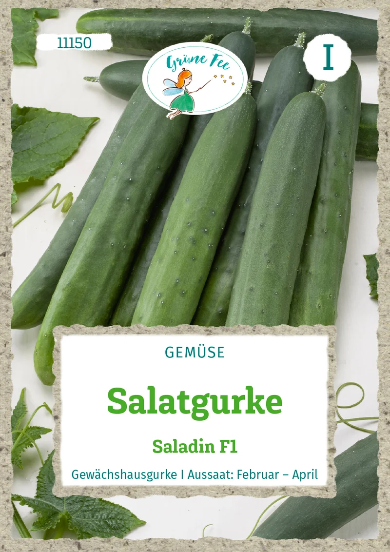 Salatgurke Saladin F1 Saatgut