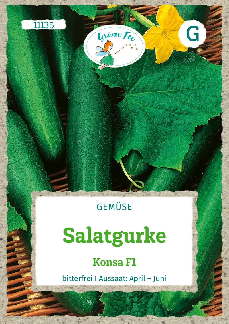 Salat und Schälgurke Konsa F1 Saatgut