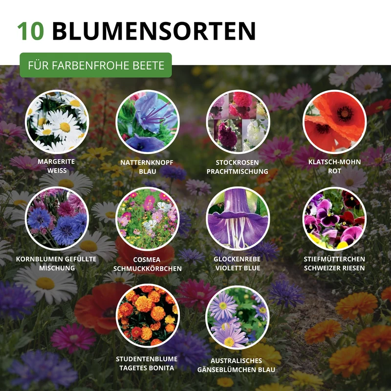 Blumensamen Set mit 10 Sorten