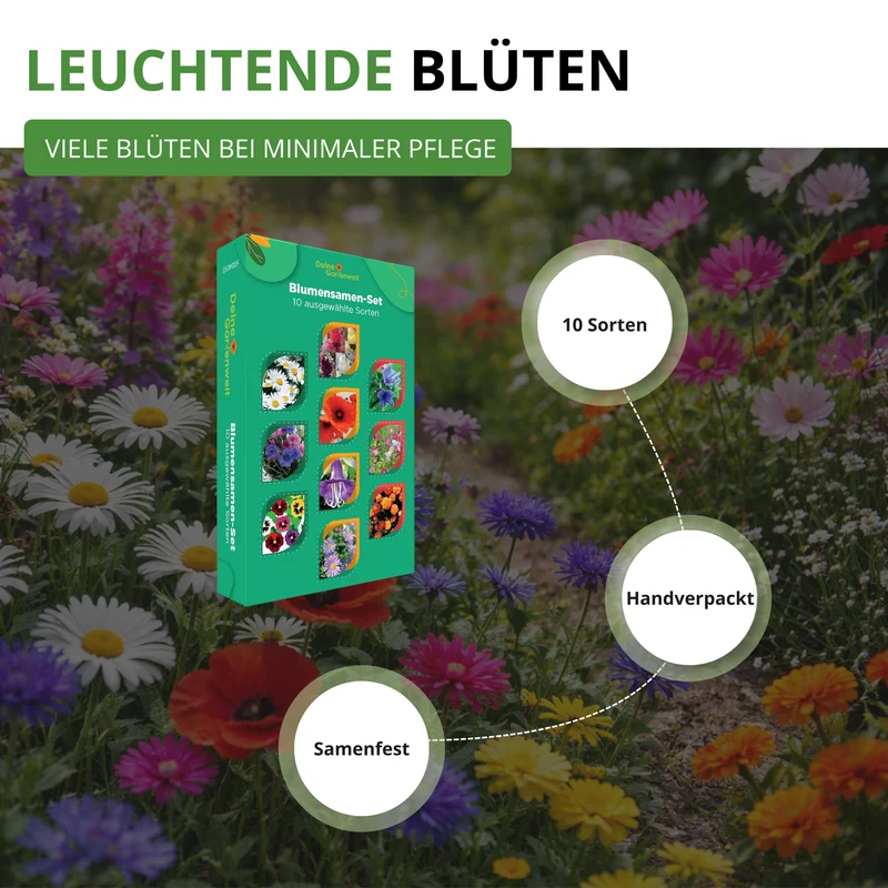 Blumensamen Set mit 10 Sorten