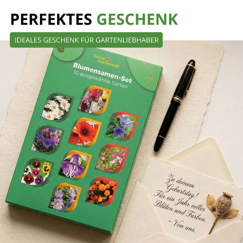 Blumensamen Set mit 10 Sorten