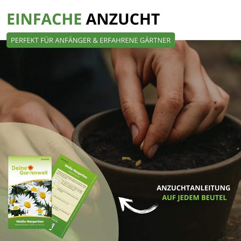 Blumensamen Set mit 10 Sorten