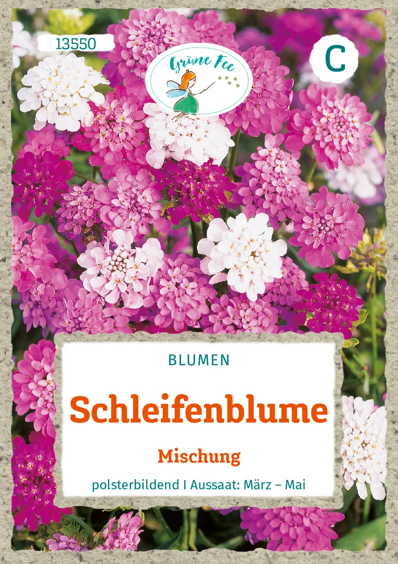 Schleifenblume Mischung Saatgut