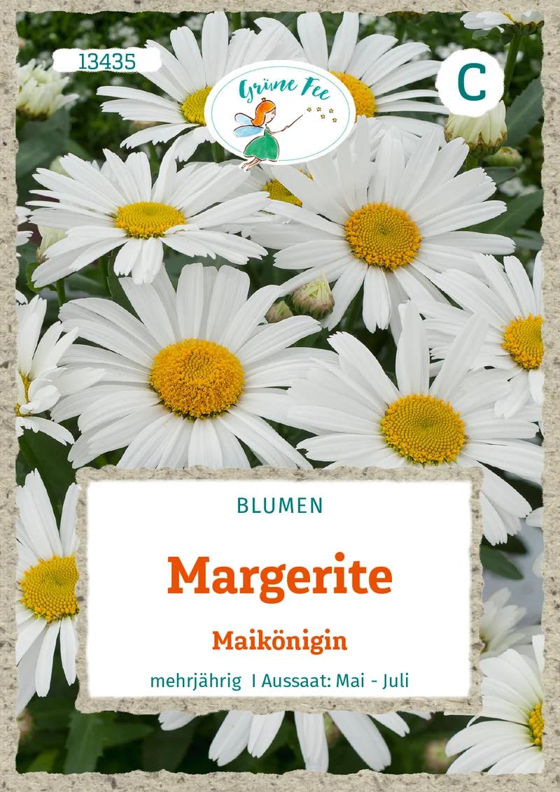 Margerite Maikönigin Saatgut