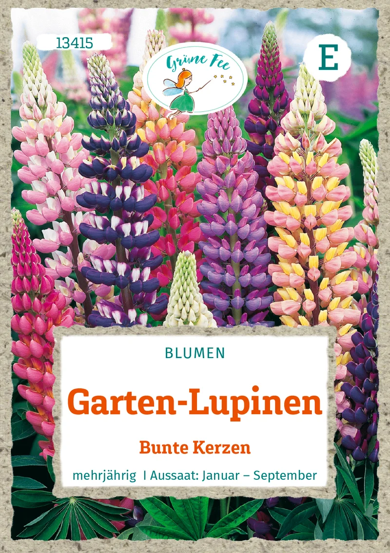 Garten Lupinen Bunte Kerzen Saatgut