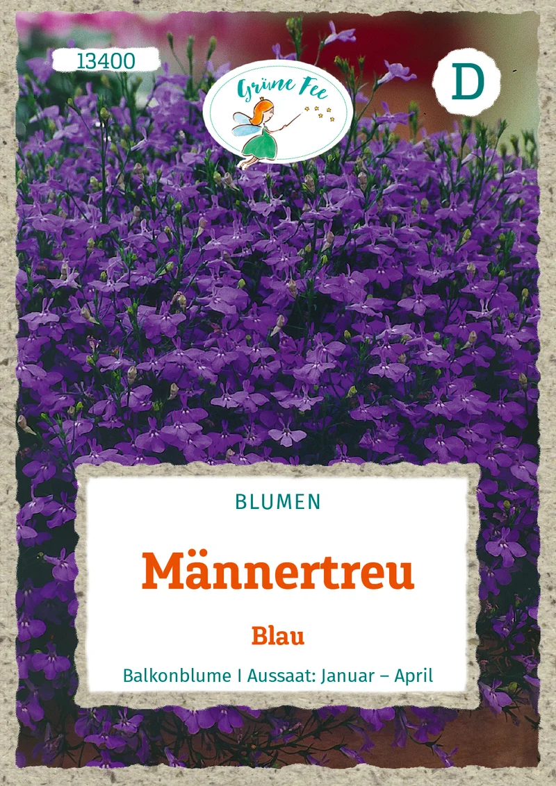 Männertreu Blau Saatgut