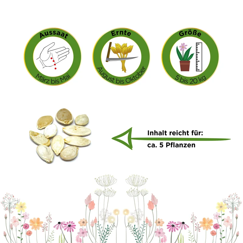 Riesenkürbis Roter Zentner Saatgut