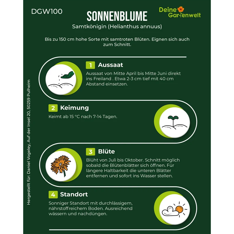 Sonnenblume Samtkönigin Saatgut