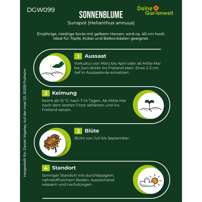 Zwergsonnenblume Sunspot Saatgut