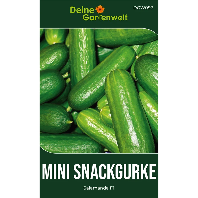 Mini Snackgurke Salamanda F1 Saatgut