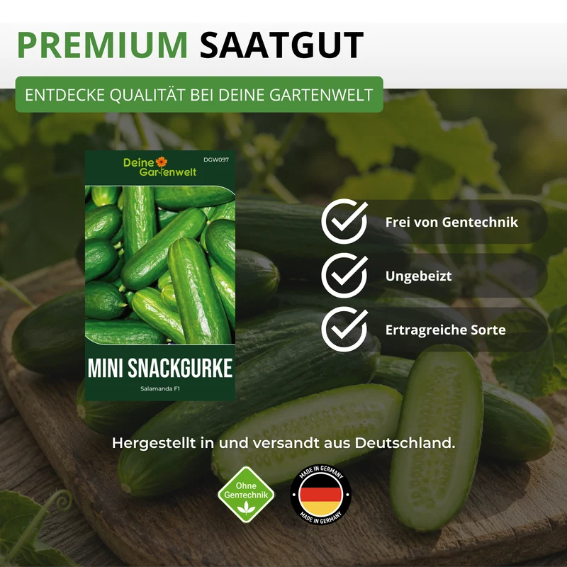 Mini Snackgurke Salamanda F1 Saatgut