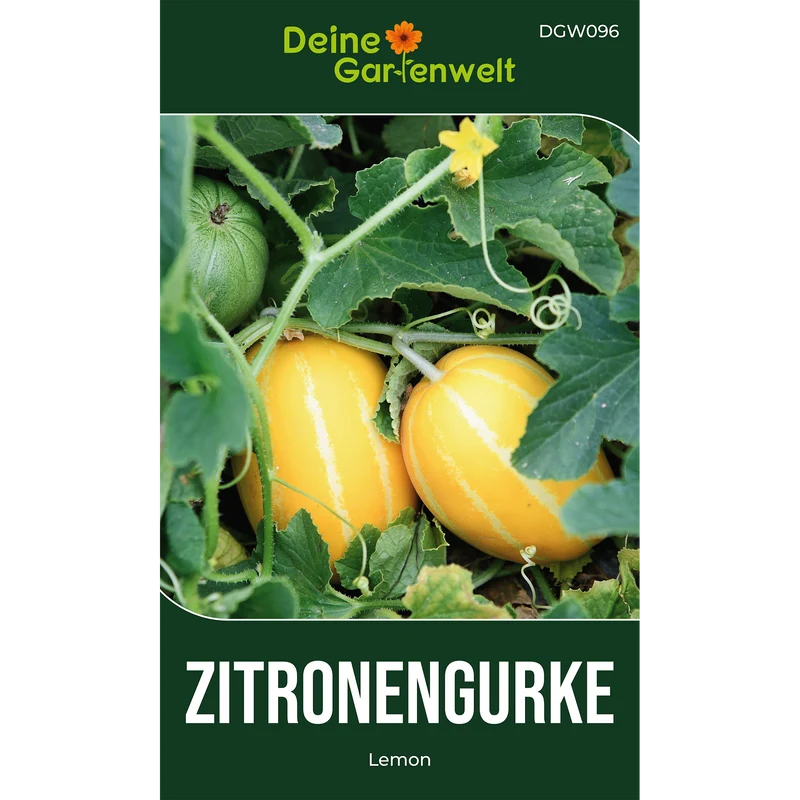 Zitronengurke Lemon Saatgut