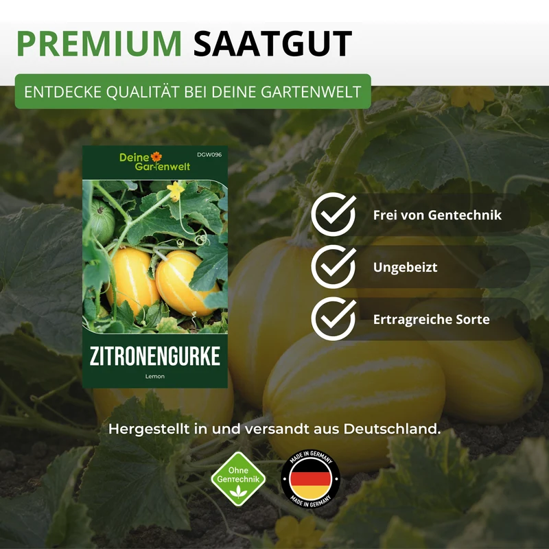 Zitronengurke Lemon Saatgut