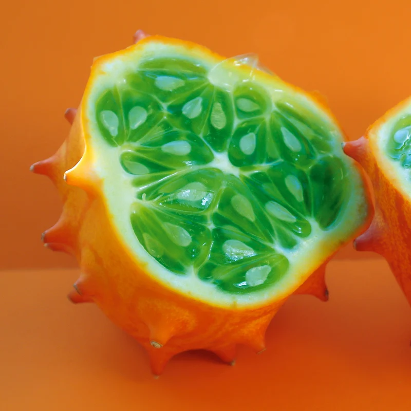 Horngurke Kiwano Saatgut