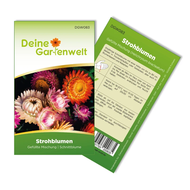 Strohblume gefüllte Mischung Saatgut