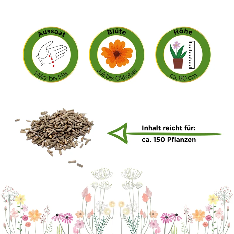 Strohblume gefüllte Mischung Saatgut