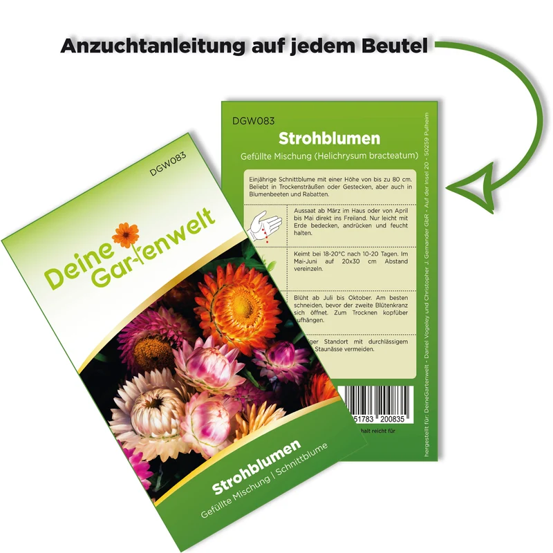 Strohblume gefüllte Mischung Saatgut
