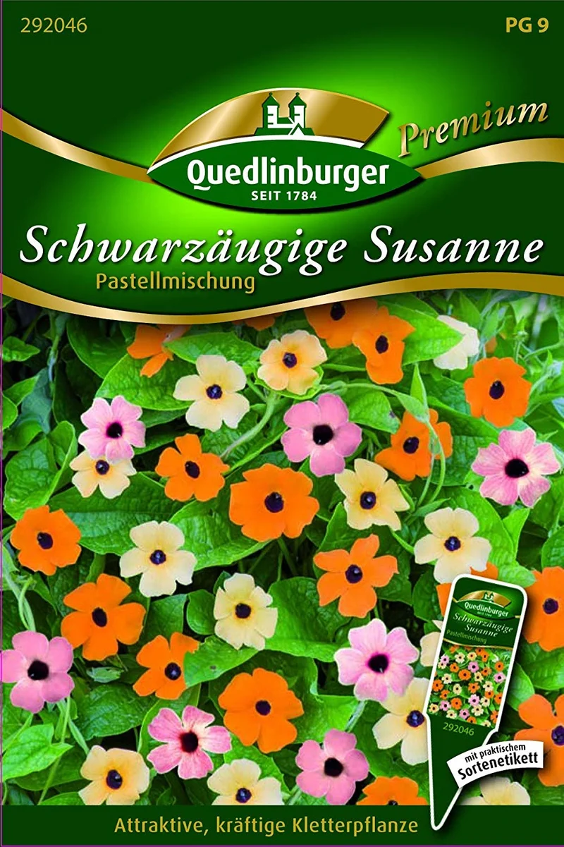 Schwarzäugige Susanne Pastellmischung Saatgut