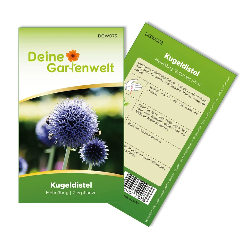 Kugeldistel Saatgut