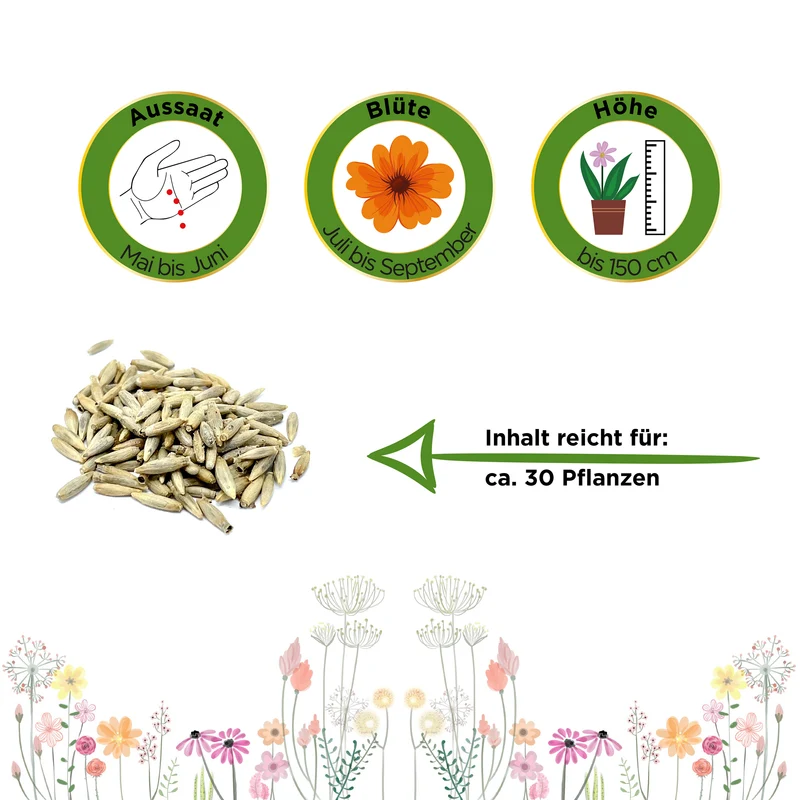 Kugeldistel Saatgut