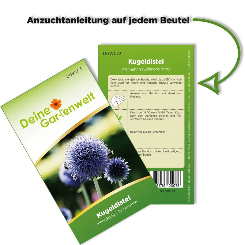 Kugeldistel Saatgut