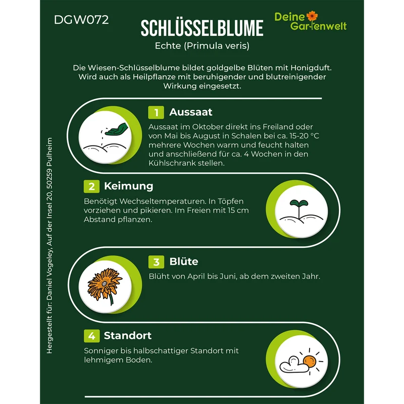 Wiesen Schlüsselblume Saatgut