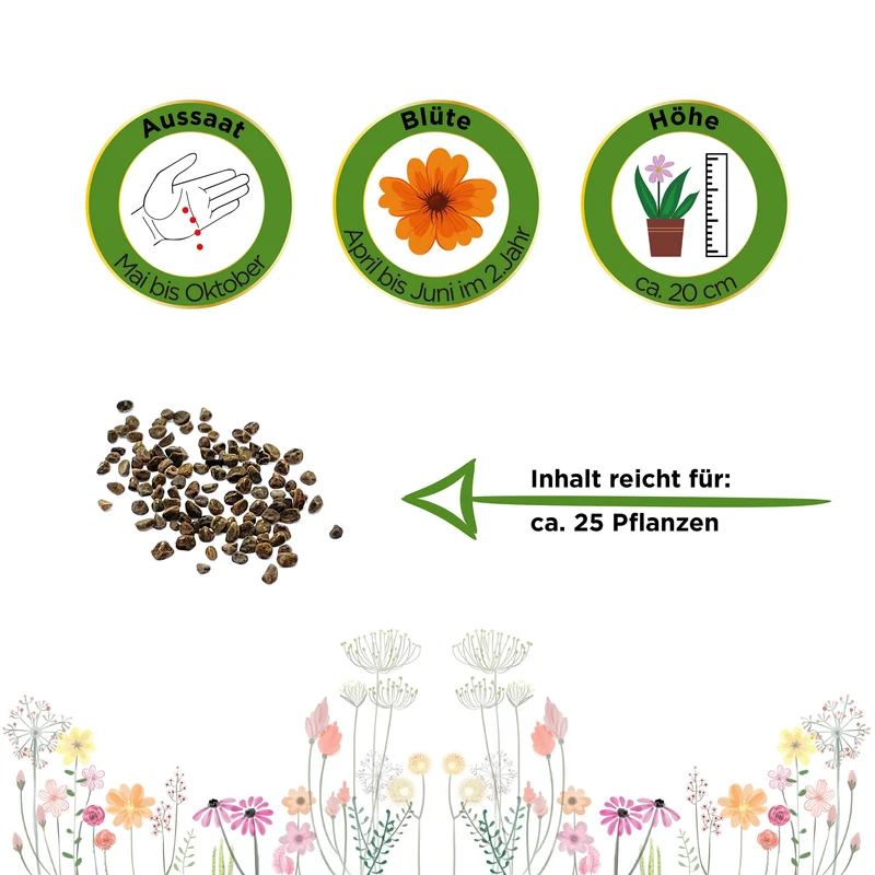 Wiesen Schlüsselblume Saatgut