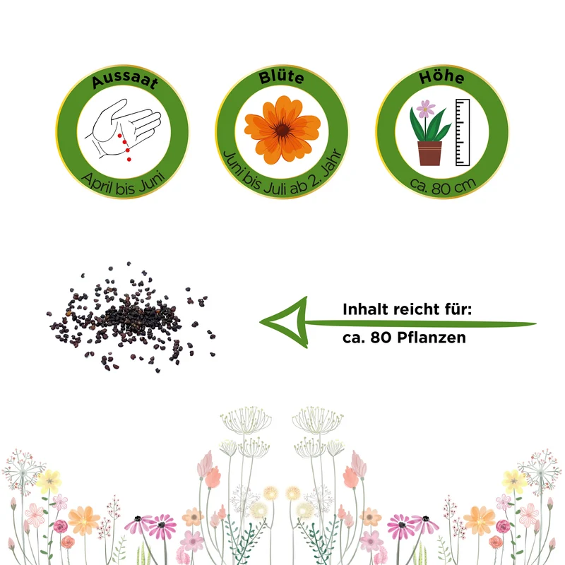 Türkischer Mohn Saatgut
