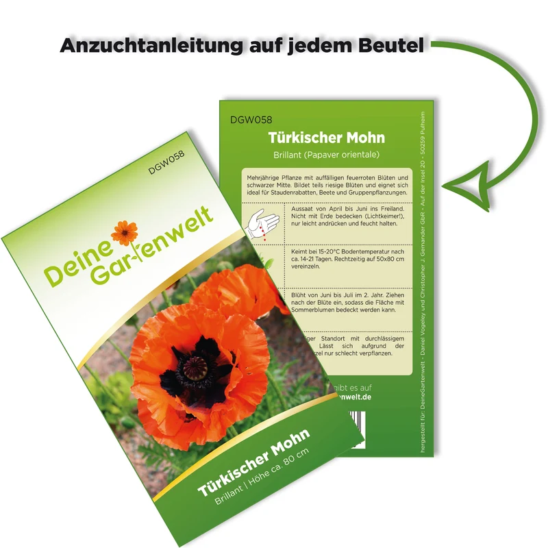 Türkischer Mohn Saatgut