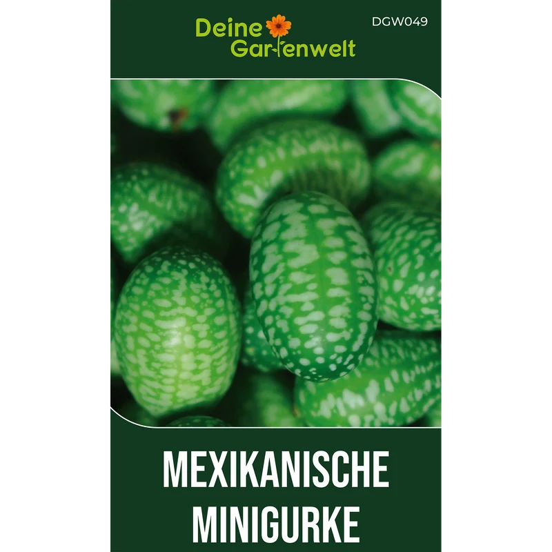 Mexikanische Minigurke Saatgut