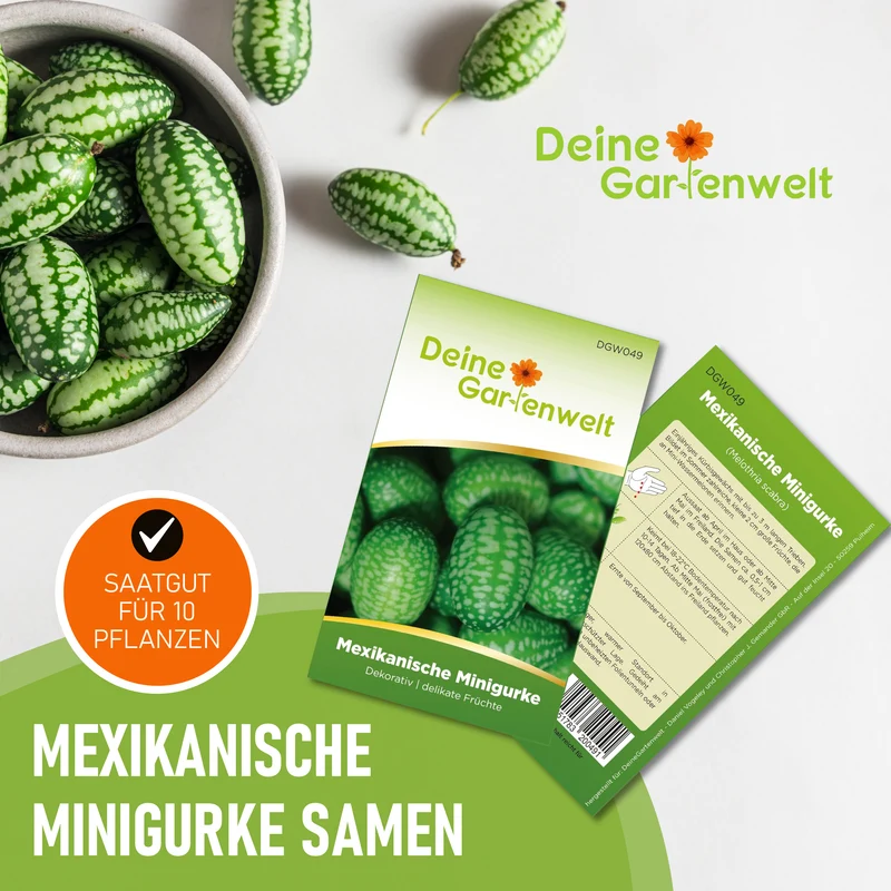 Mexikanische Minigurke Saatgut