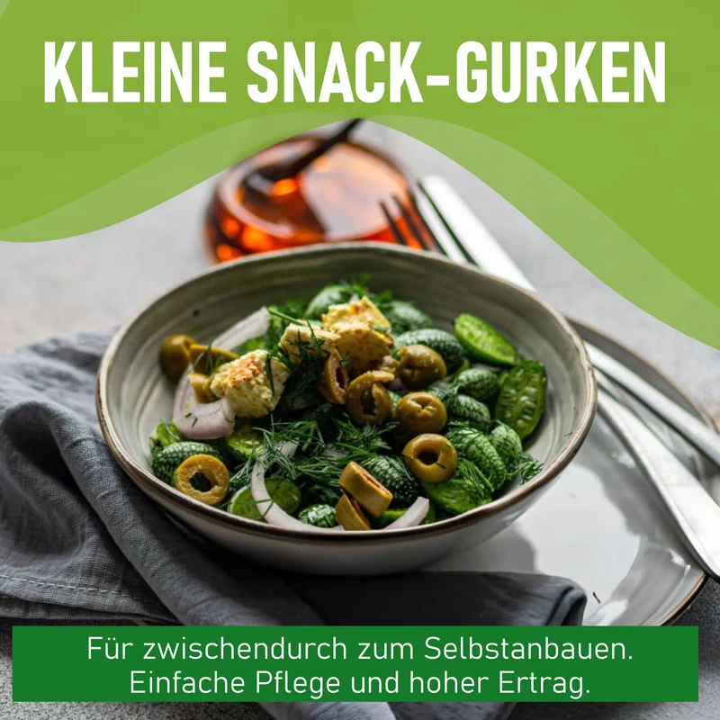 Mexikanische Minigurke Saatgut