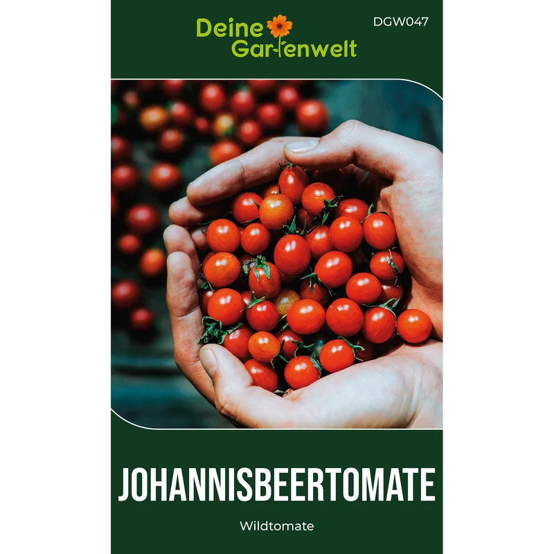 Johannisbeertomaten Saatgut
