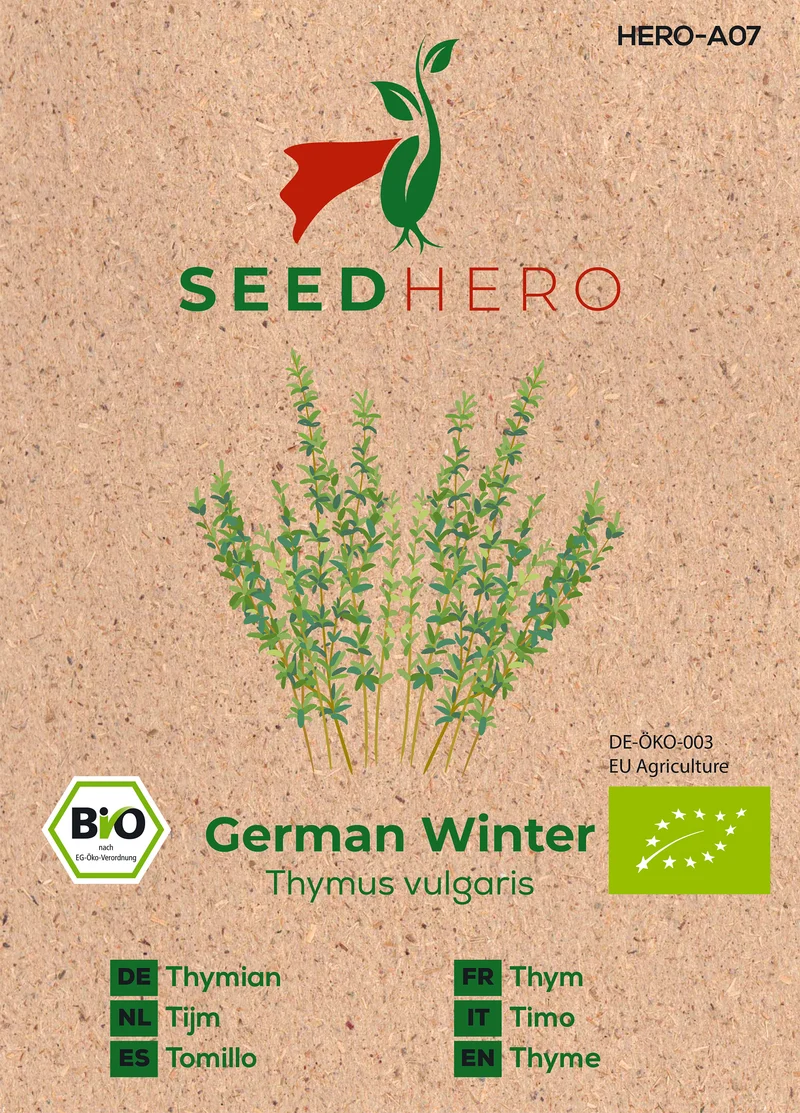Bio Thymian German Winter Saatgut