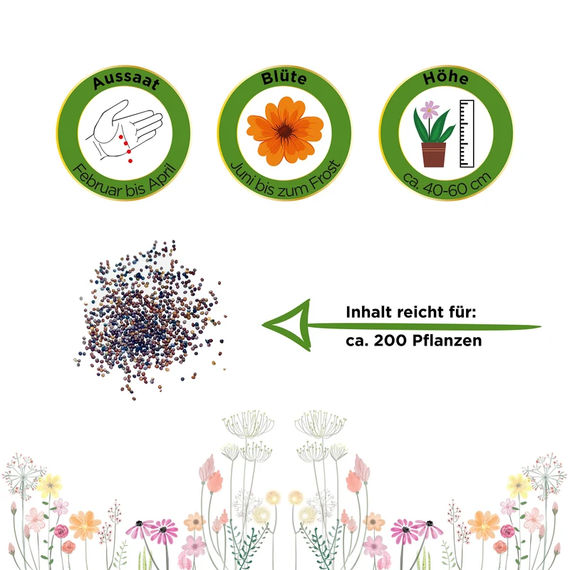 Petunie Einfache Mischung Saatgut