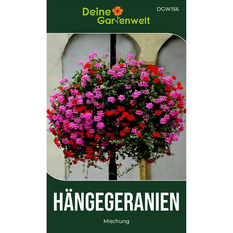 Hängegeranien Mischung Saatgut