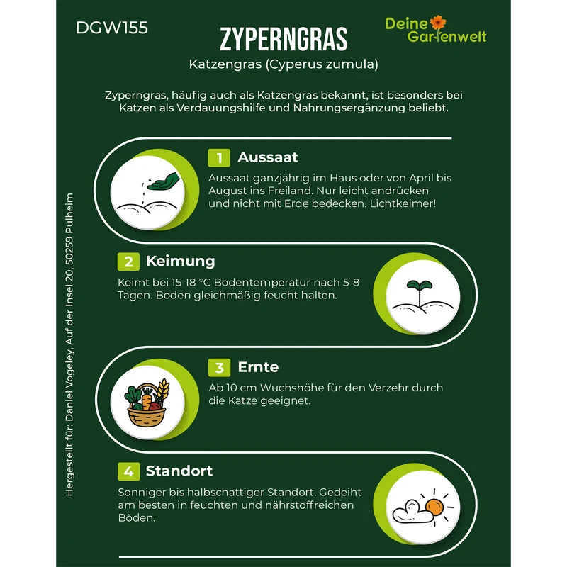 Zyperngras Saatgut