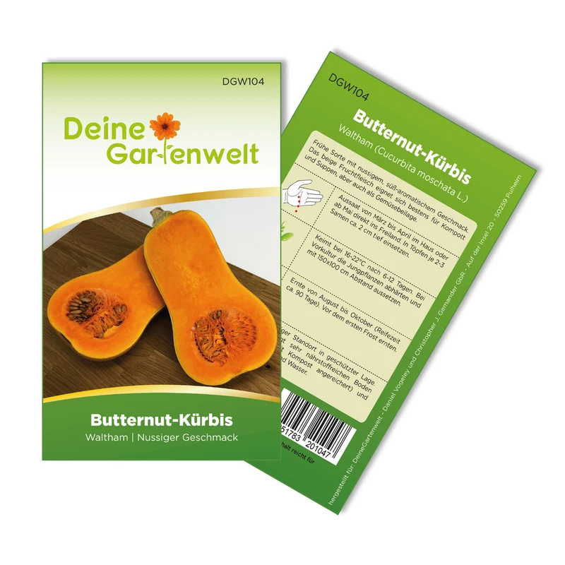 Butternutkürbis Waltham Saatgut