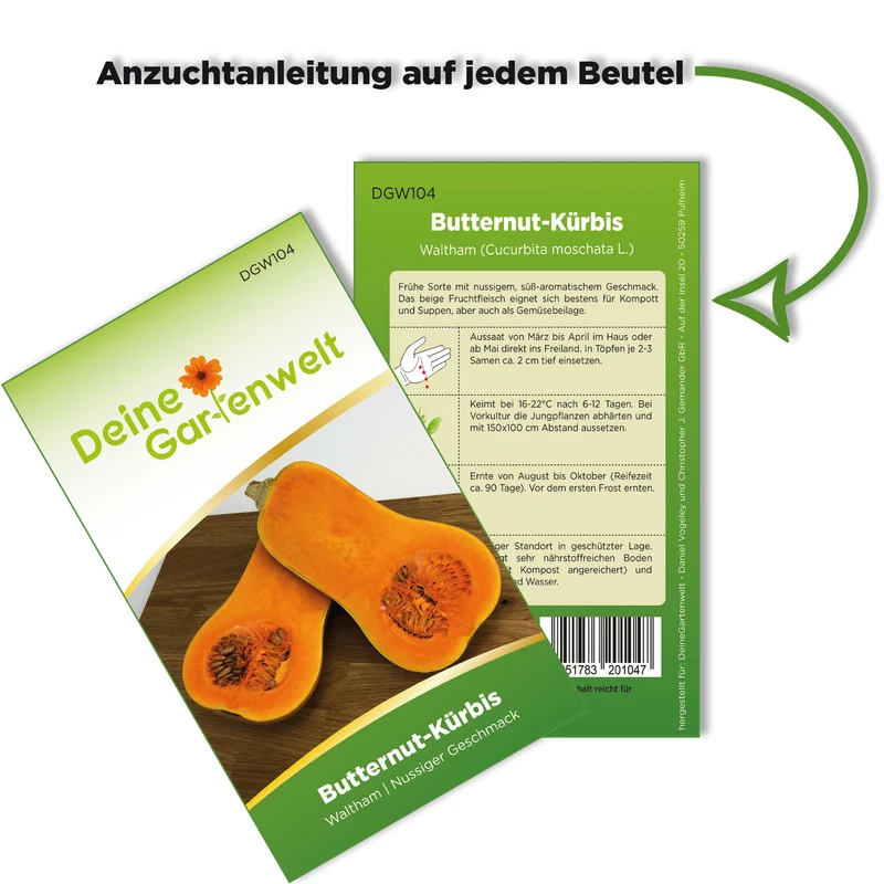 Butternutkürbis Waltham Saatgut