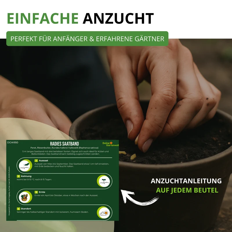 Radieschen 3 Sorten Saatband 5 m