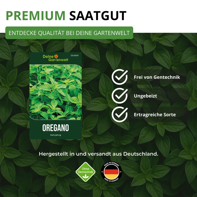 Oregano Saatgut