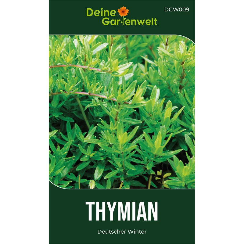 Thymian Deutscher Winter Saatgut