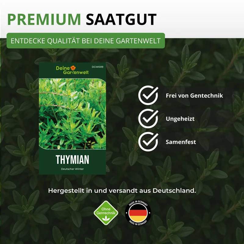 Thymian Deutscher Winter Saatgut