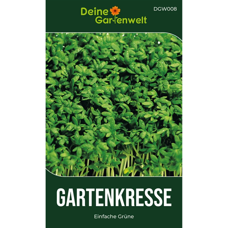 Gartenkresse Einfache Grüne Saatgut