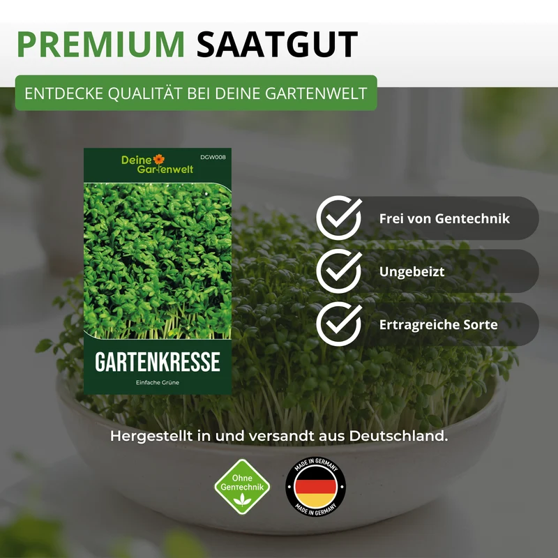 Gartenkresse Einfache Grüne Saatgut