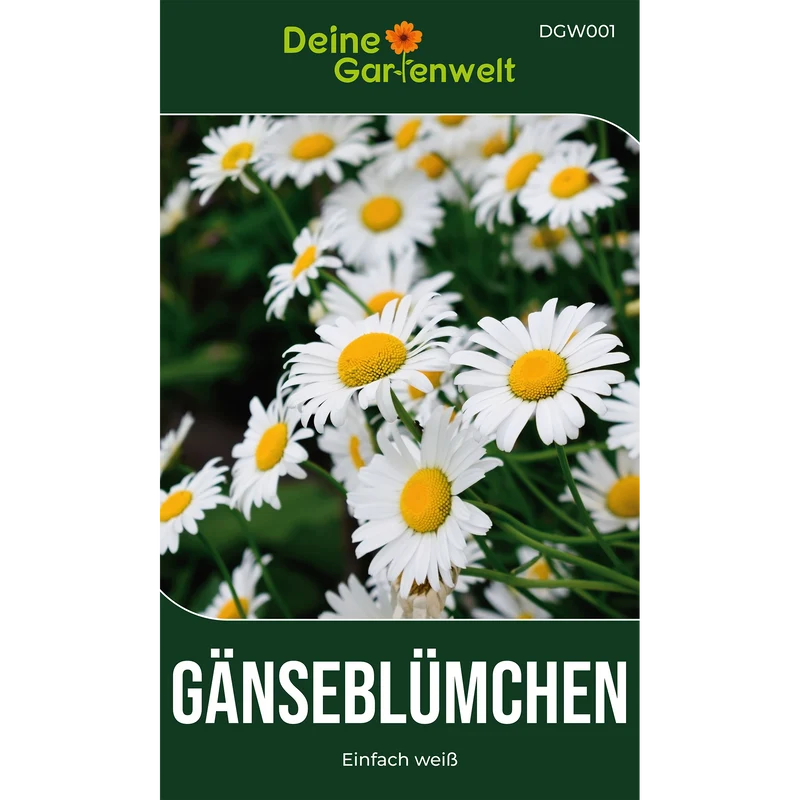 Gänseblümchen Einfach weiß Saatgut