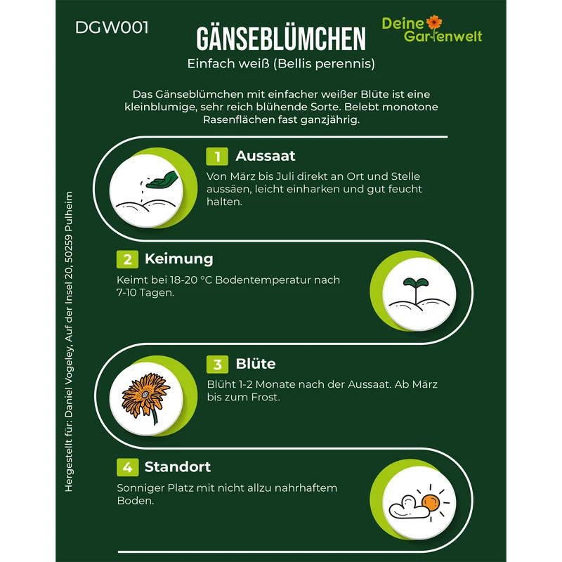 Gänseblümchen Einfach weiß Saatgut